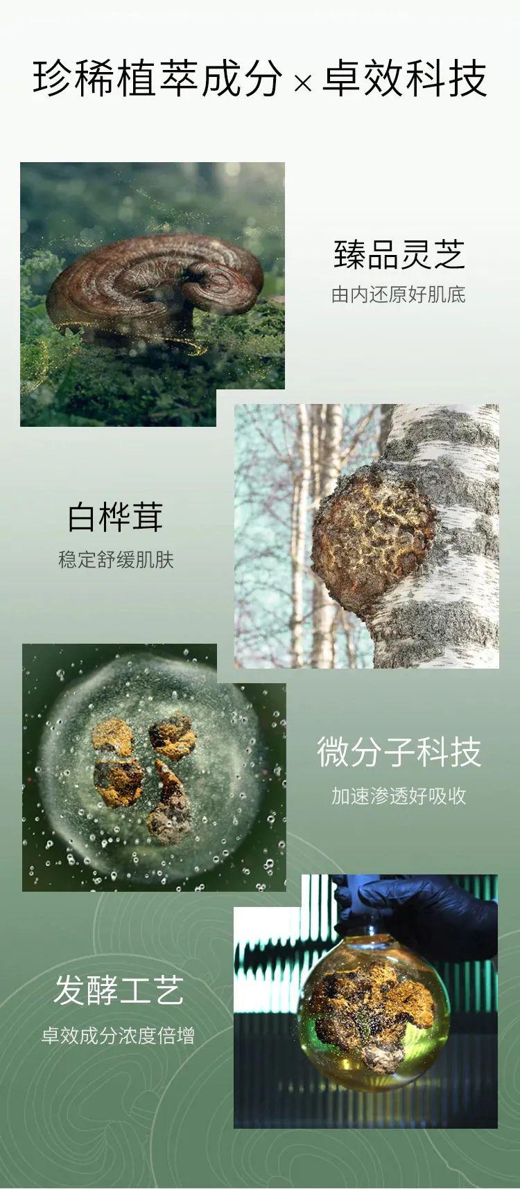 菌菇水最新版，菌菇精华水全新升级版