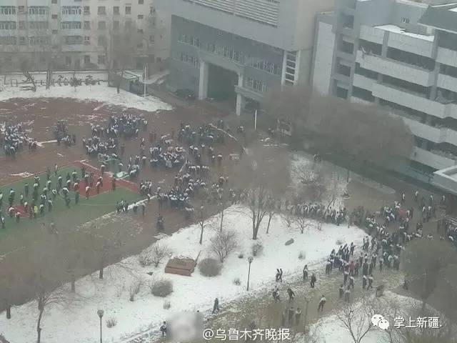 会理地震最新消息，“最新会理地震资讯”