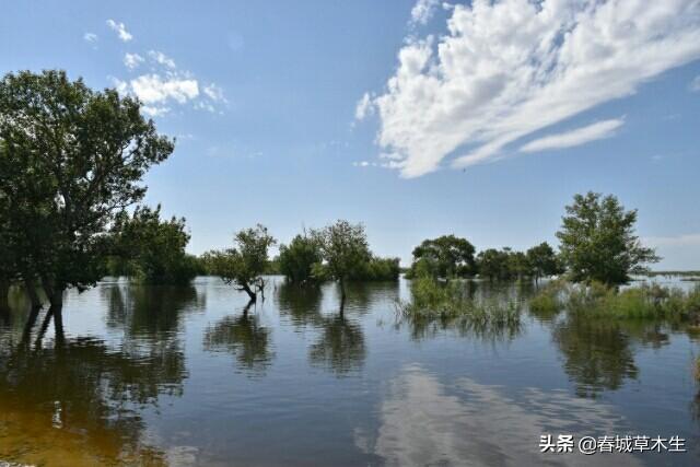 南国夏日润泽盛宴，共迎丰水之年的喜悦景象