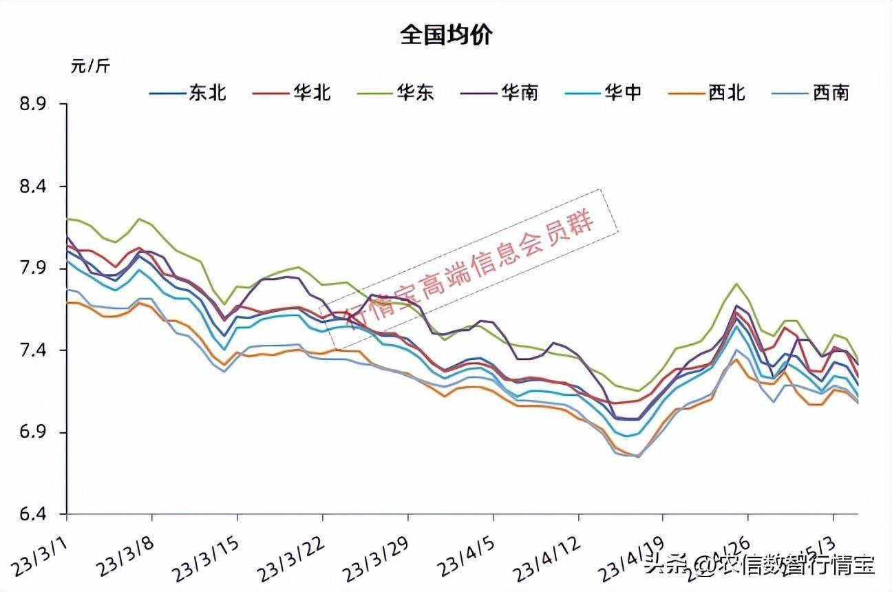 最新猪价动态发布由发改委传来