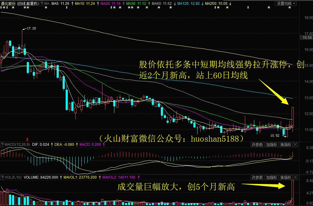 银河生物最新动态：深度解读公司公告热点资讯