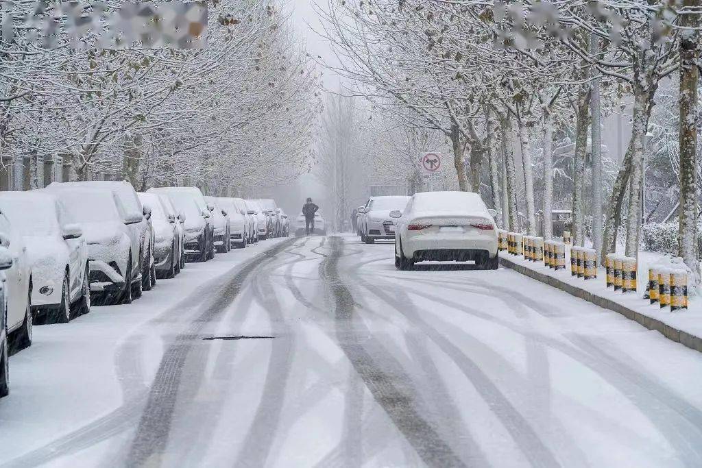 雪景速递：最新一场降雪动态报道