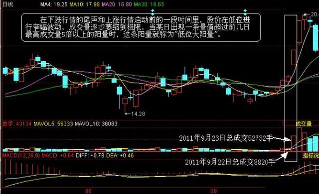 揭秘：股市奇才徐翔被捕最新动态全解析