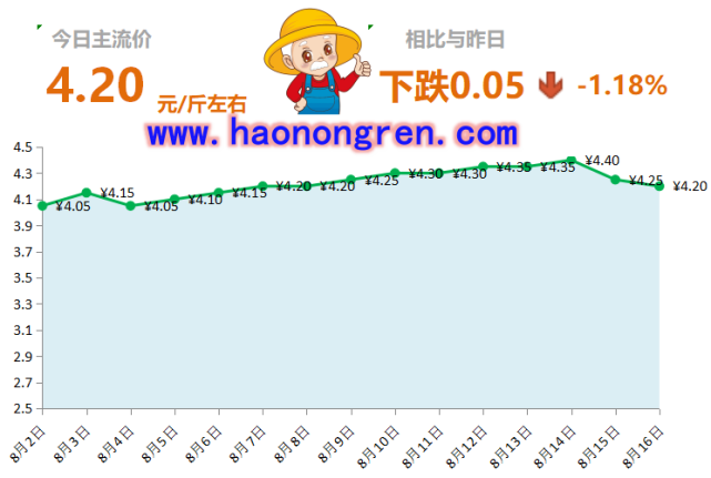 山东生姜市场行情实时追踪：最新价格动态解析